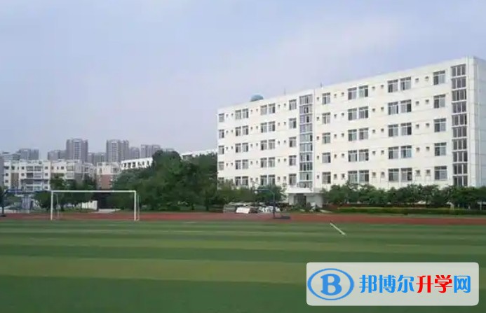 2025龍泉二中招生計劃 招生人數是多少(附要求、條件、對象)