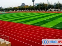 大彎中學地址，乘車路線