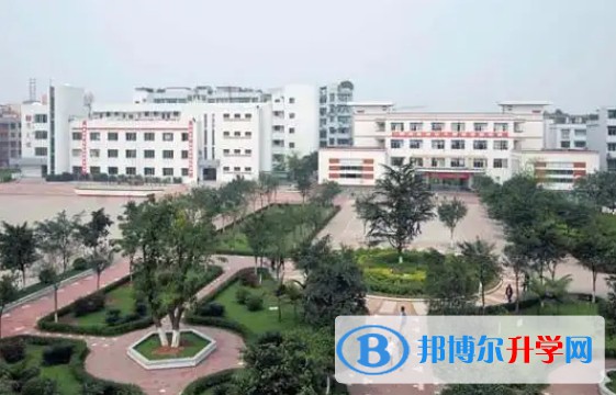 2025富順一中招生計劃 招生人數是多少(附要求、條件、對象)