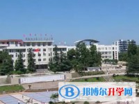 2025四川省榮縣中學招生計劃 招生人數是多少(附要求、條件、對象)