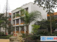2025富順第三中學校招生計劃 招生人數是多少(附要求、條件、對象)