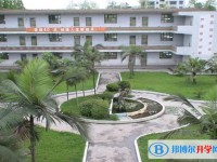 富順第三中學校地址，乘車路線