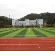 資陽四中