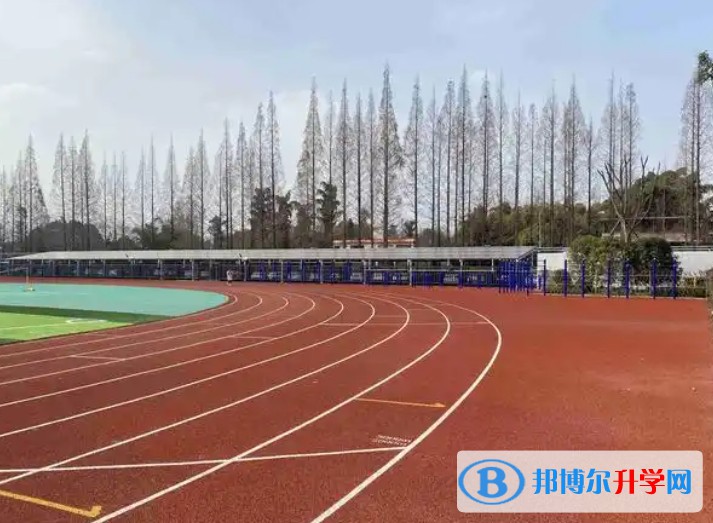 2025自貢德銘中學招生計劃 招生人數是多少(附要求、條件、對象)