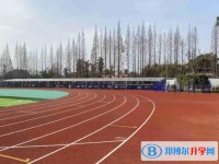 2025自貢德銘中學招生計劃 招生人數是多少(附要求、條件、對象)