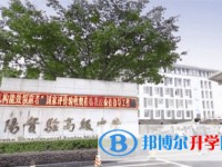 綿陽市實驗高級中學招生簡章2025年