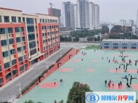 2025綿陽普明中學招生計劃 招生人數是多少(附要求、條件、對象)