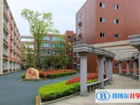 2025綿陽市實驗中學招生計劃 招生人數是多少(附要求、條件、對象)