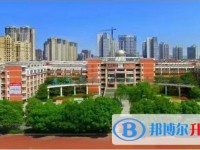 四川省安縣中學怎么樣、好不好