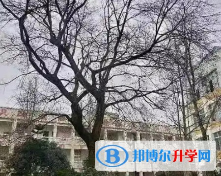 江油彰明中學怎么樣、好不好