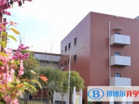 2025綿陽市豐谷中學招生計劃 招生人數是多少(附要求、條件、對象)