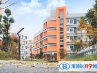 2025綿陽市育英高級中學招生計劃 招生人數是多少(附要求、條件、對象)