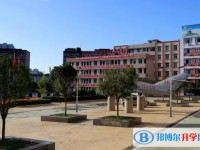 2025四川省蒼溪縣城郊中學多少錢(學費明細)