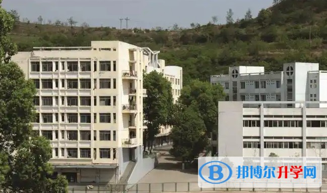 2025廣元市中學招生計劃 招生人數是多少(附要求、條件、對象)