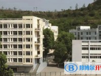 2025廣元市中學招生計劃 招生人數是多少(附要求、條件、對象)