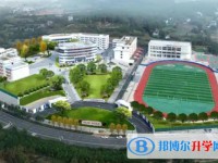 蒼溪縣歧坪中學地址，乘車路線