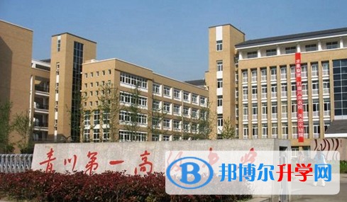 2025四川省青川第一高級中學多少錢(學費明細)    