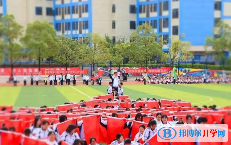 廣元外國語學校地址，乘車路線