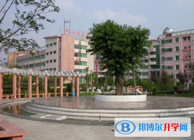 2025四川省旺蒼縣普濟中學招生計劃 招生人數是多少(附要求、條件、對象)