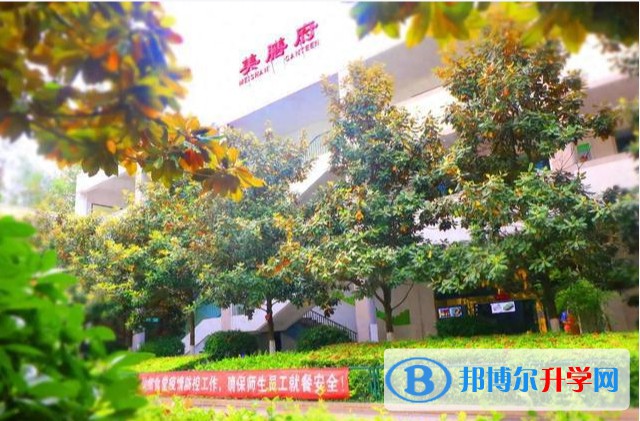 2025四川省廣元外國語學校招生計劃 招生人數是多少(附要求、條件、對象)