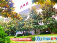 2025四川省廣元外國語學校招生計劃 招生人數是多少(附要求、條件、對象)